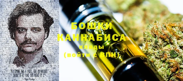 бошки Алексин