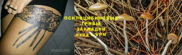 бошки Алексин