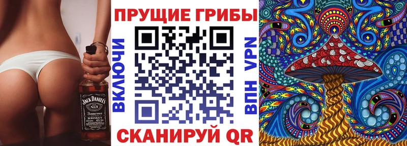 Купить закладки  Иноземцево  Галлюциногенные грибы Cubensis 